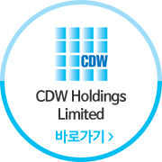 cdw hodings limited